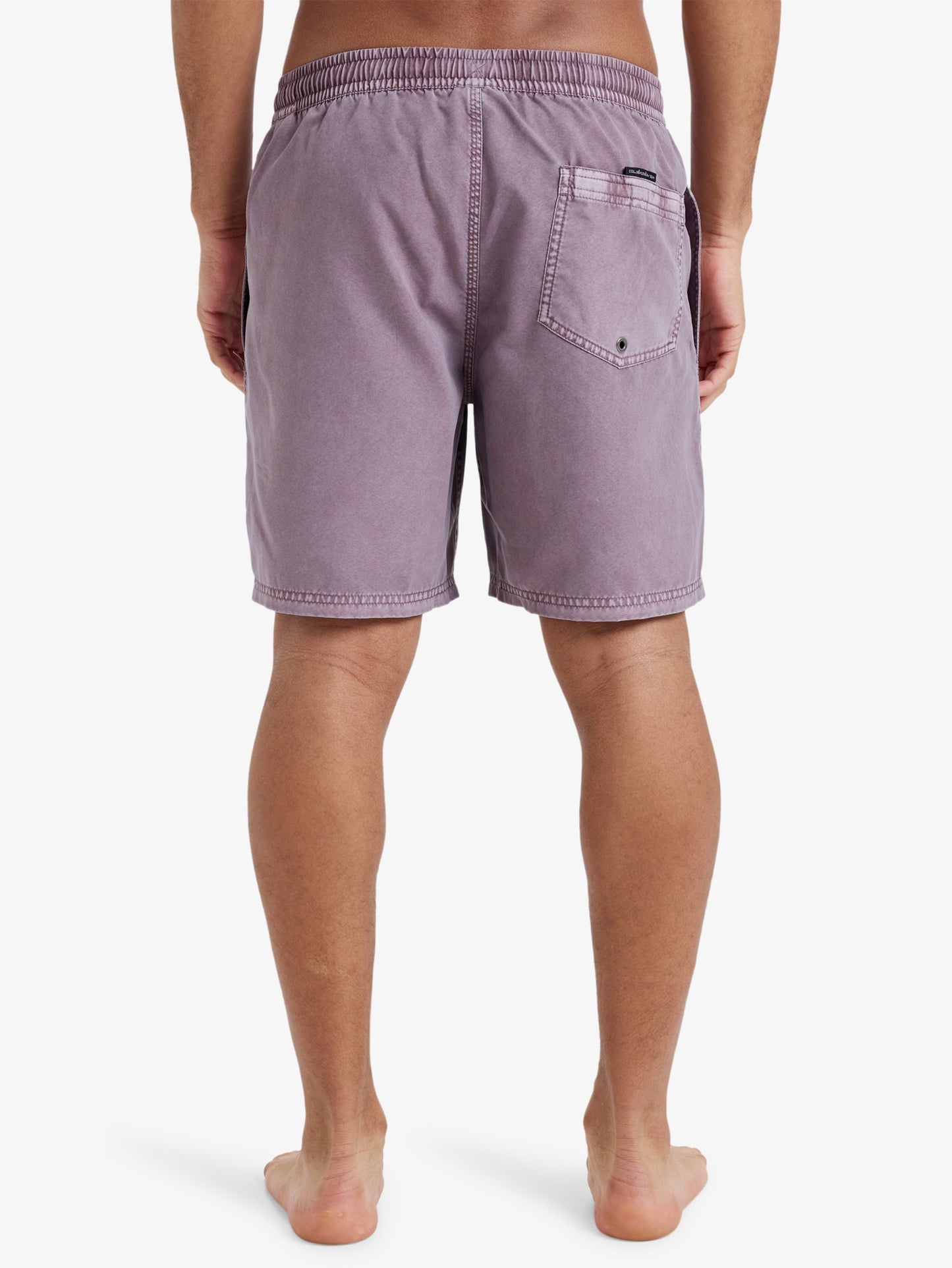 Mens Everyday Surfwash 17" Swim Shorts - Quiksilver Malaysia