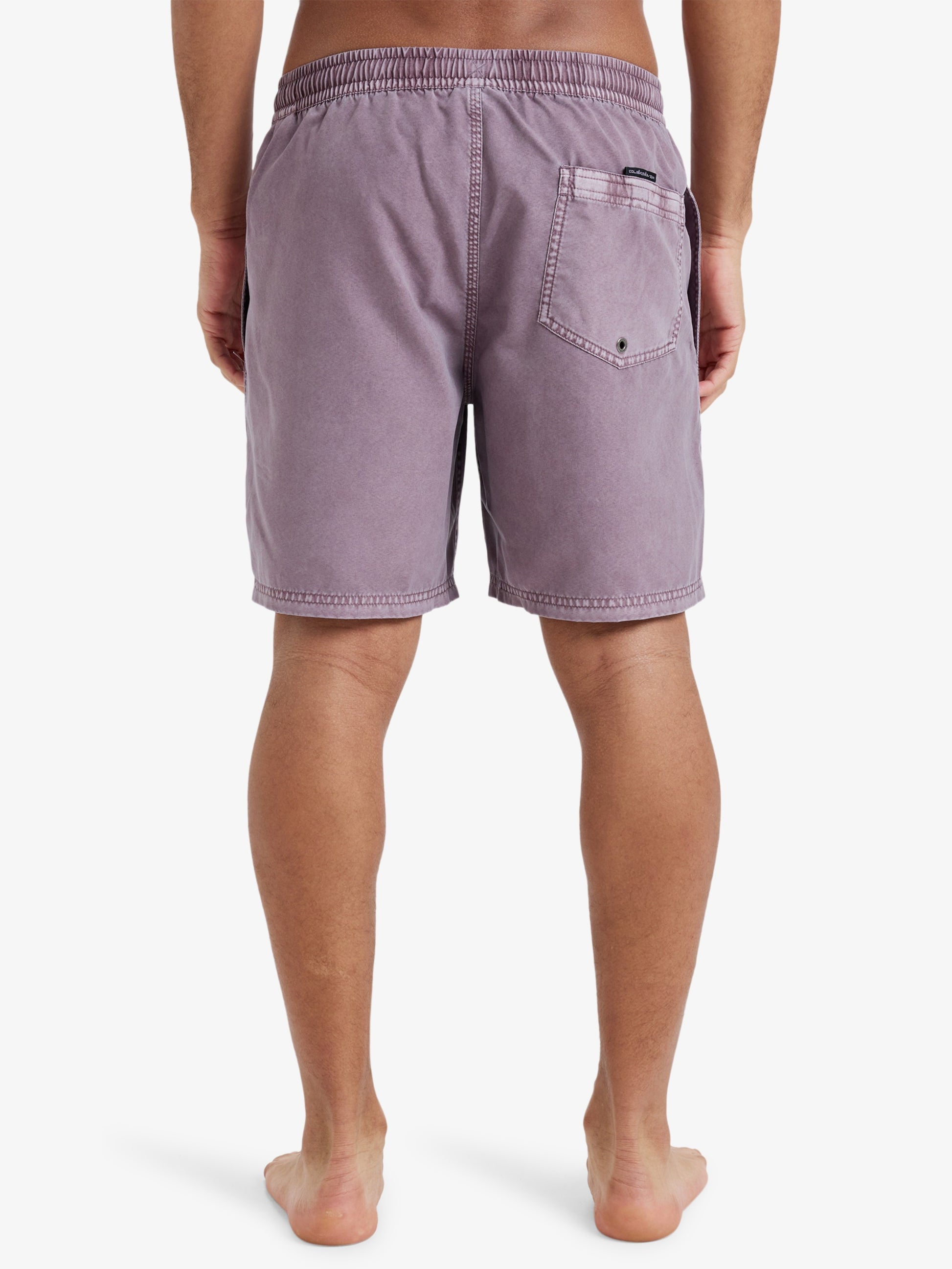 Mens Everyday Surfwash 17" Swim Shorts - Quiksilver Malaysia