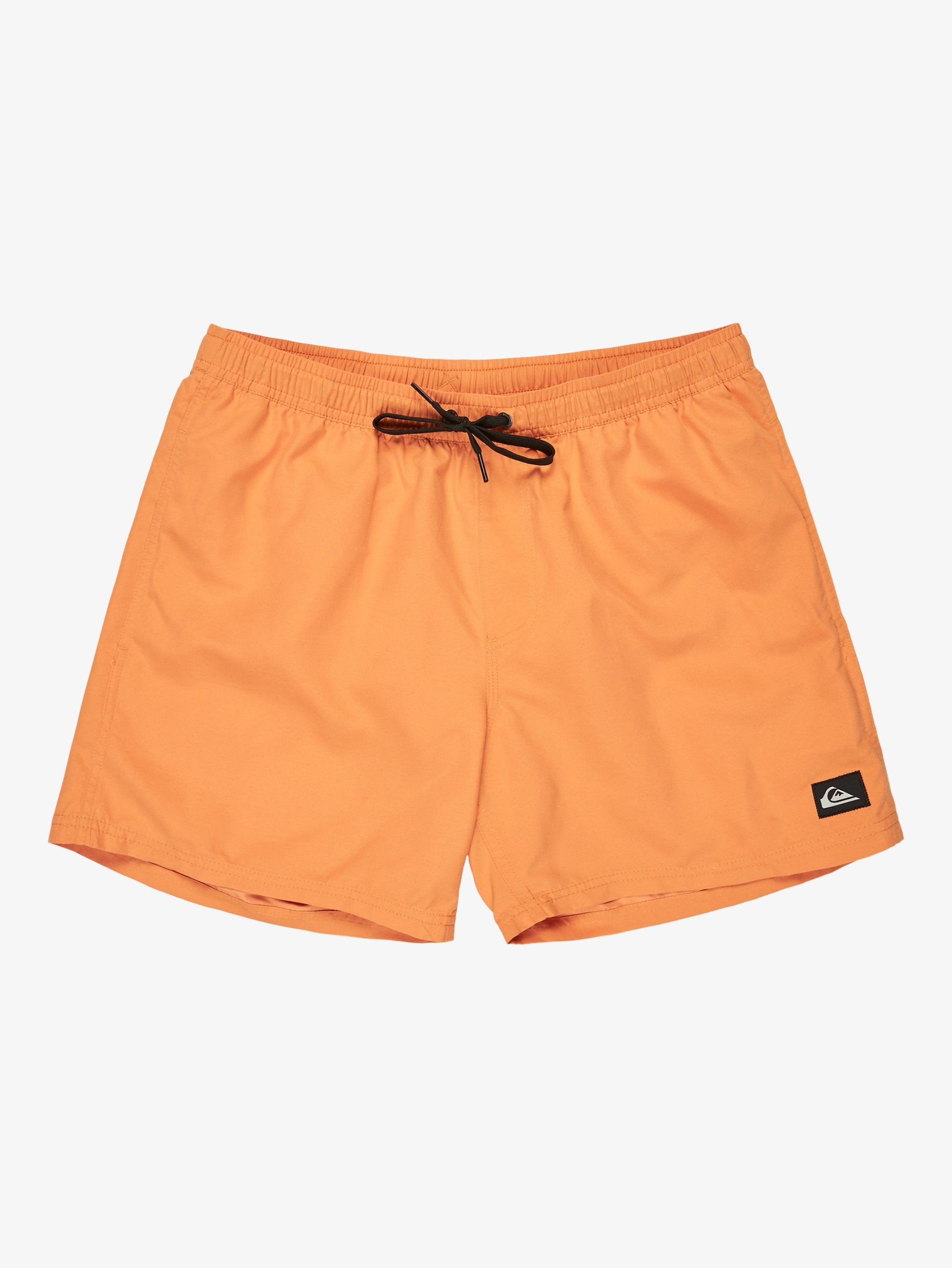 Mens Everyday Solid  15" Swim Shorts - Quiksilver Malaysia