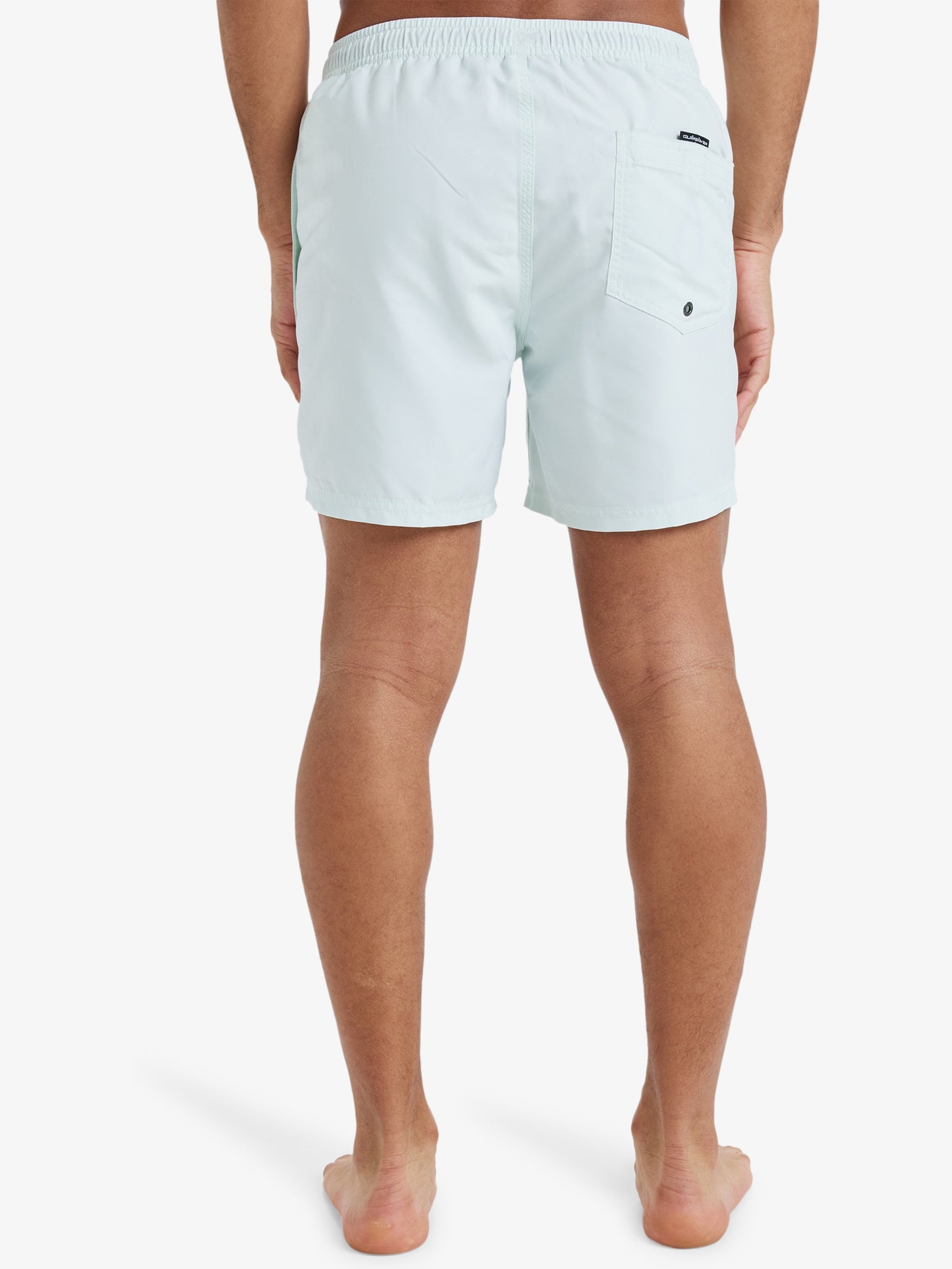 Mens Everyday Solid  15" Swim Shorts - Quiksilver Malaysia