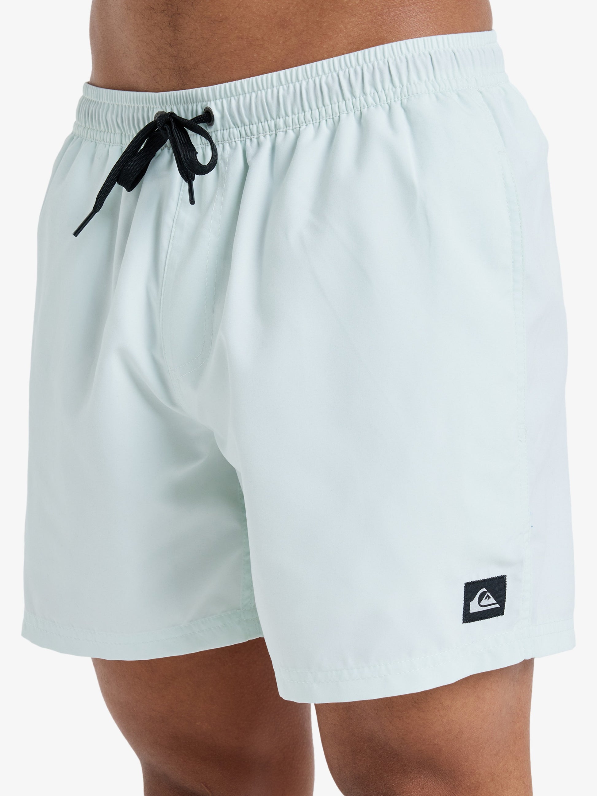 Mens Everyday Solid  15" Swim Shorts - Quiksilver Malaysia