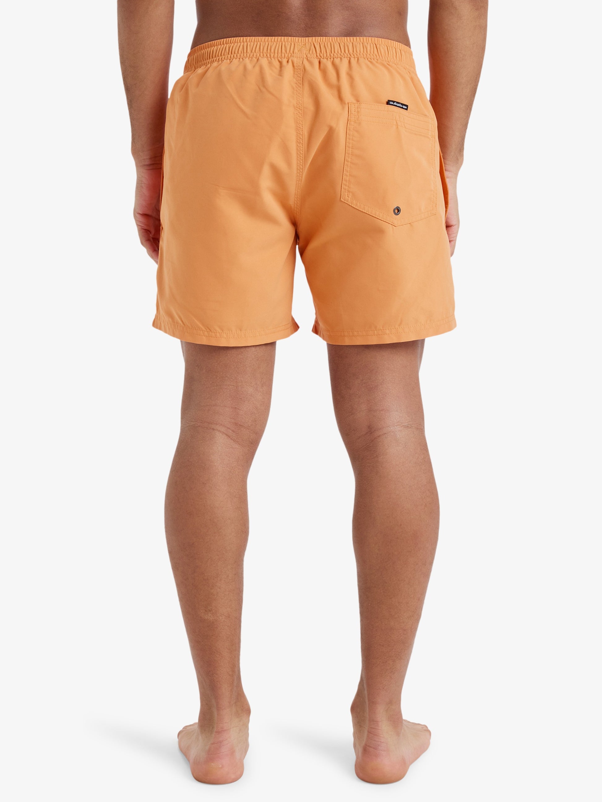 Mens Everyday Solid  15" Swim Shorts - Quiksilver Malaysia