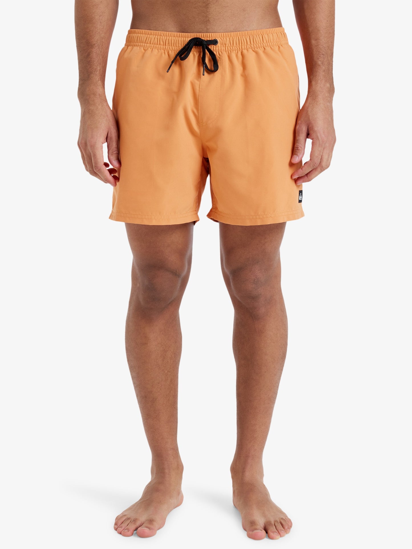 Mens Everyday Solid  15" Swim Shorts - Quiksilver Malaysia