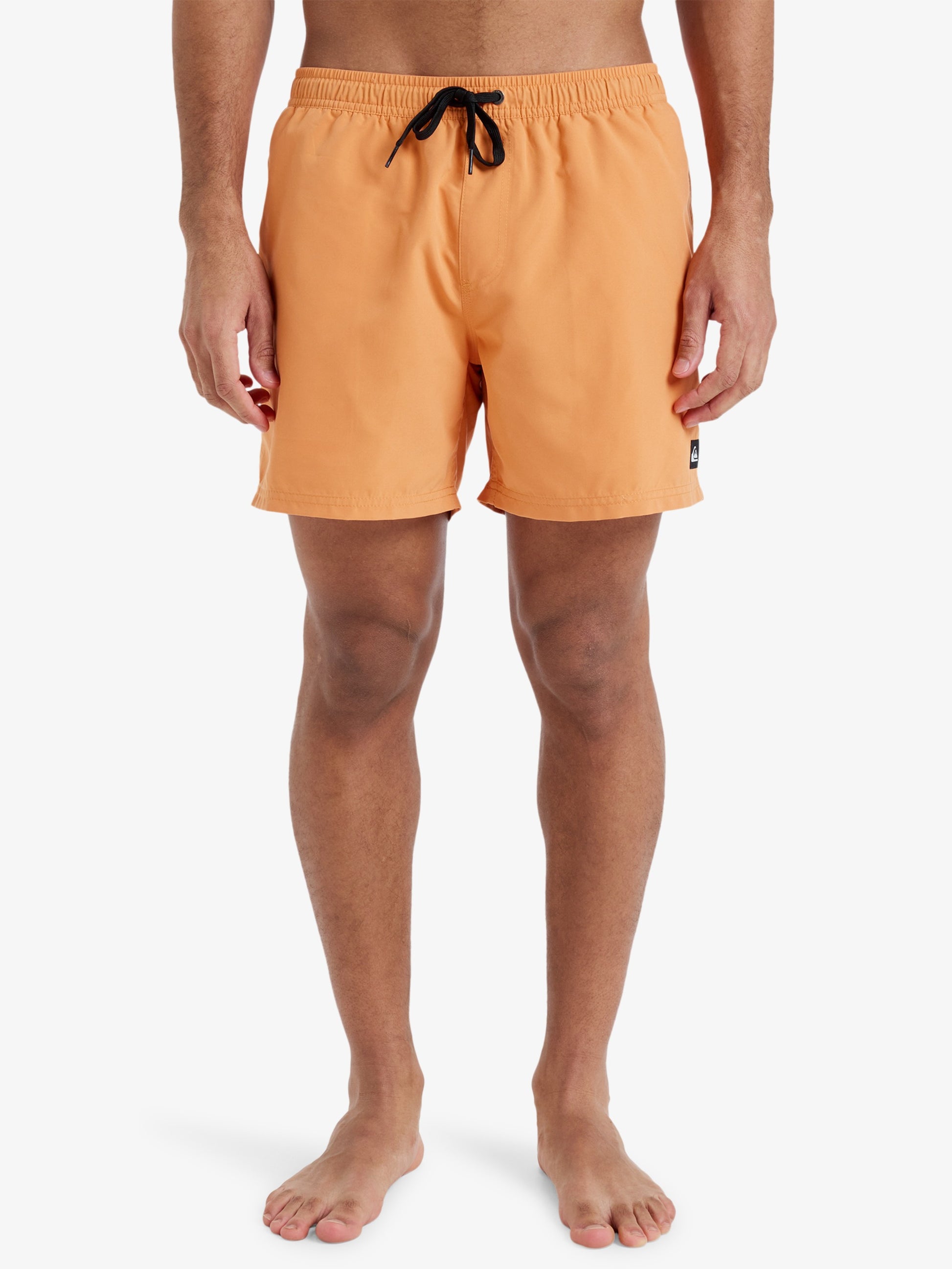 Mens Everyday Solid  15" Swim Shorts - Quiksilver Malaysia