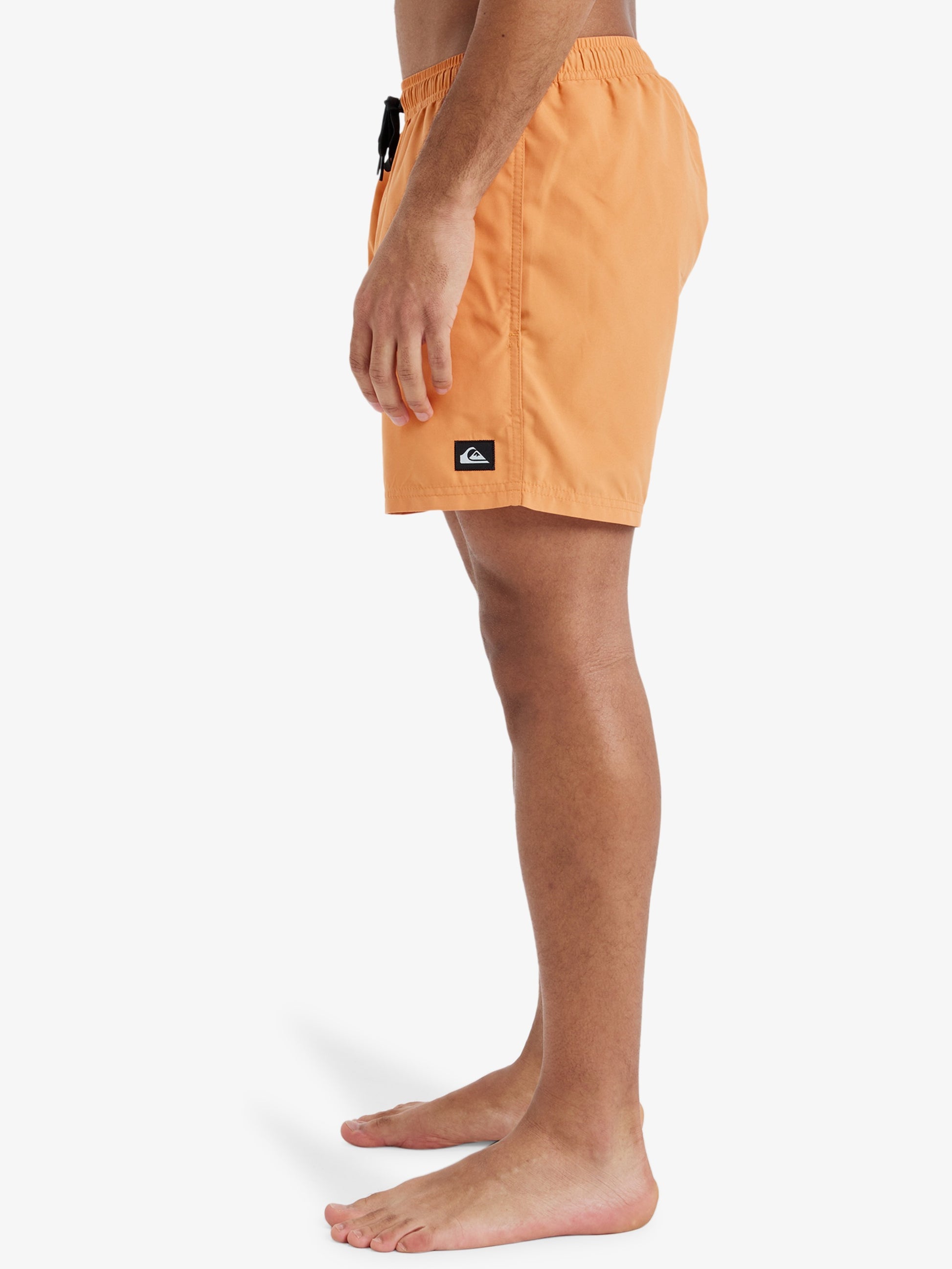 Mens Everyday Solid  15" Swim Shorts - Quiksilver Malaysia