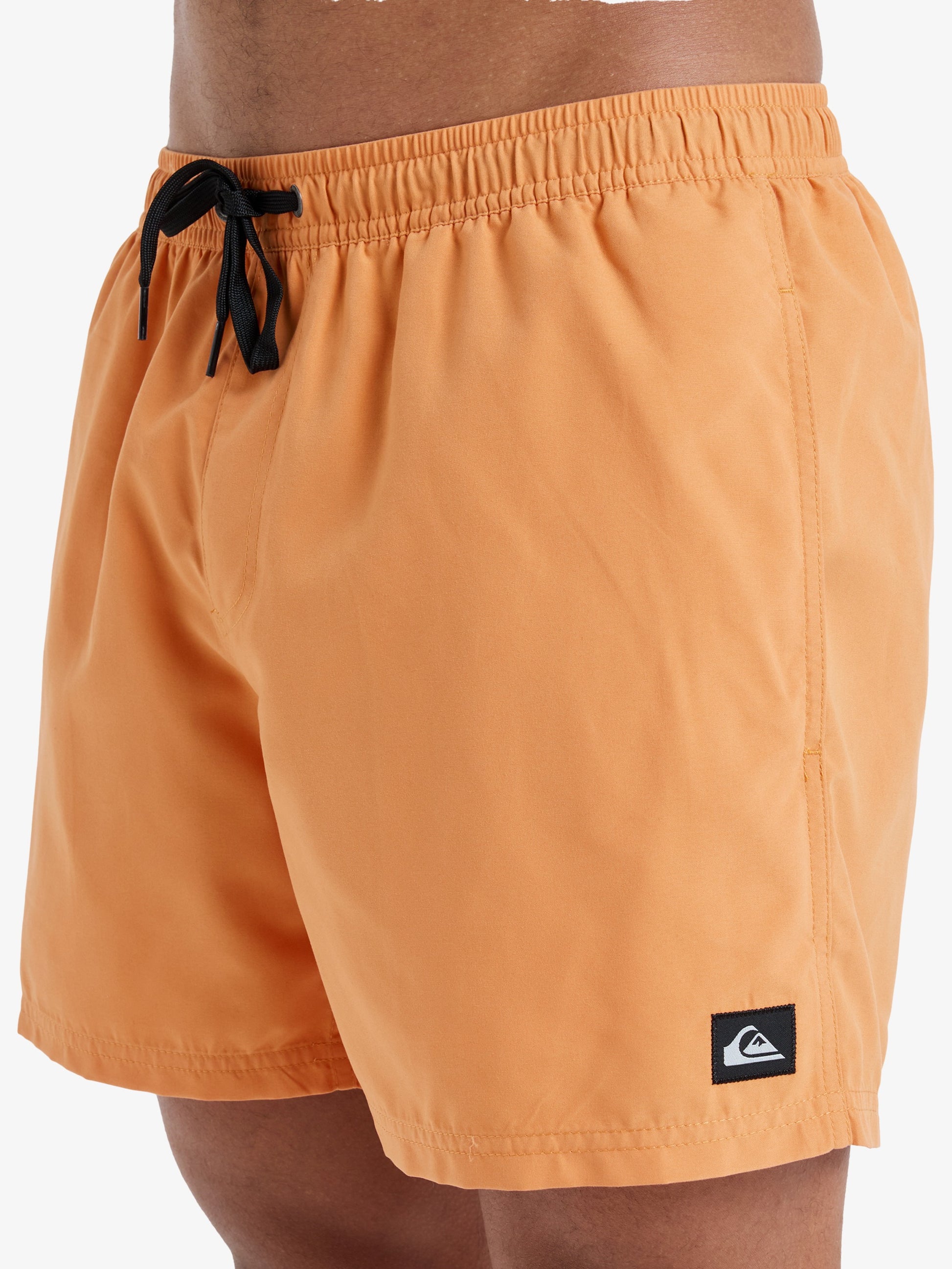 Mens Everyday Solid  15" Swim Shorts - Quiksilver Malaysia