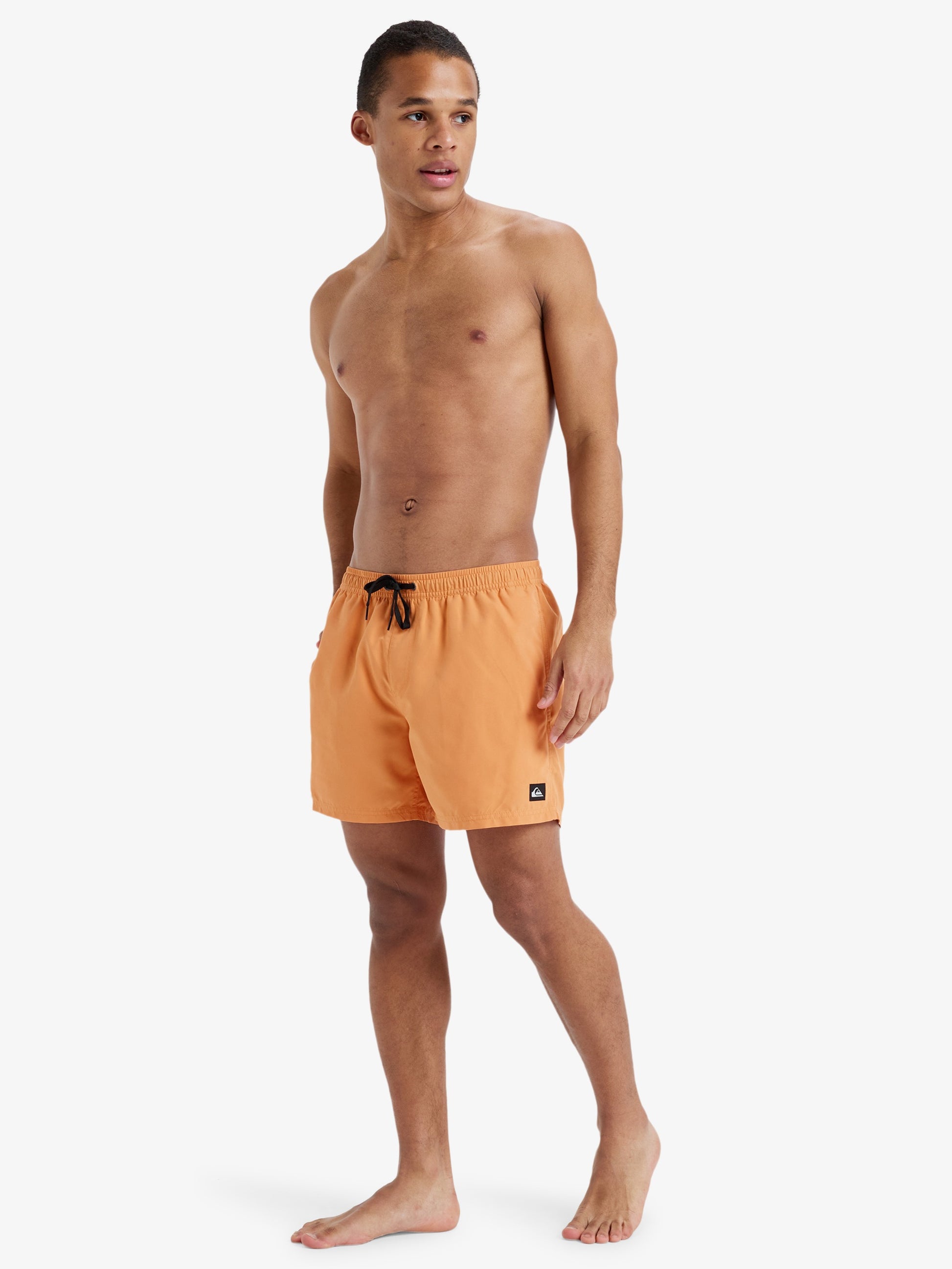 Mens Everyday Solid  15" Swim Shorts - Quiksilver Malaysia