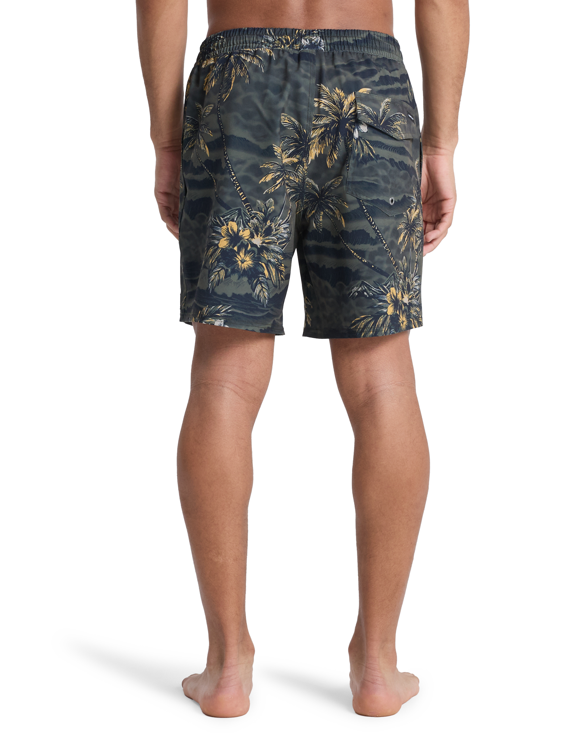 Mens Stretch Printed Volley 17" Swim Shorts - Quiksilver Malaysia