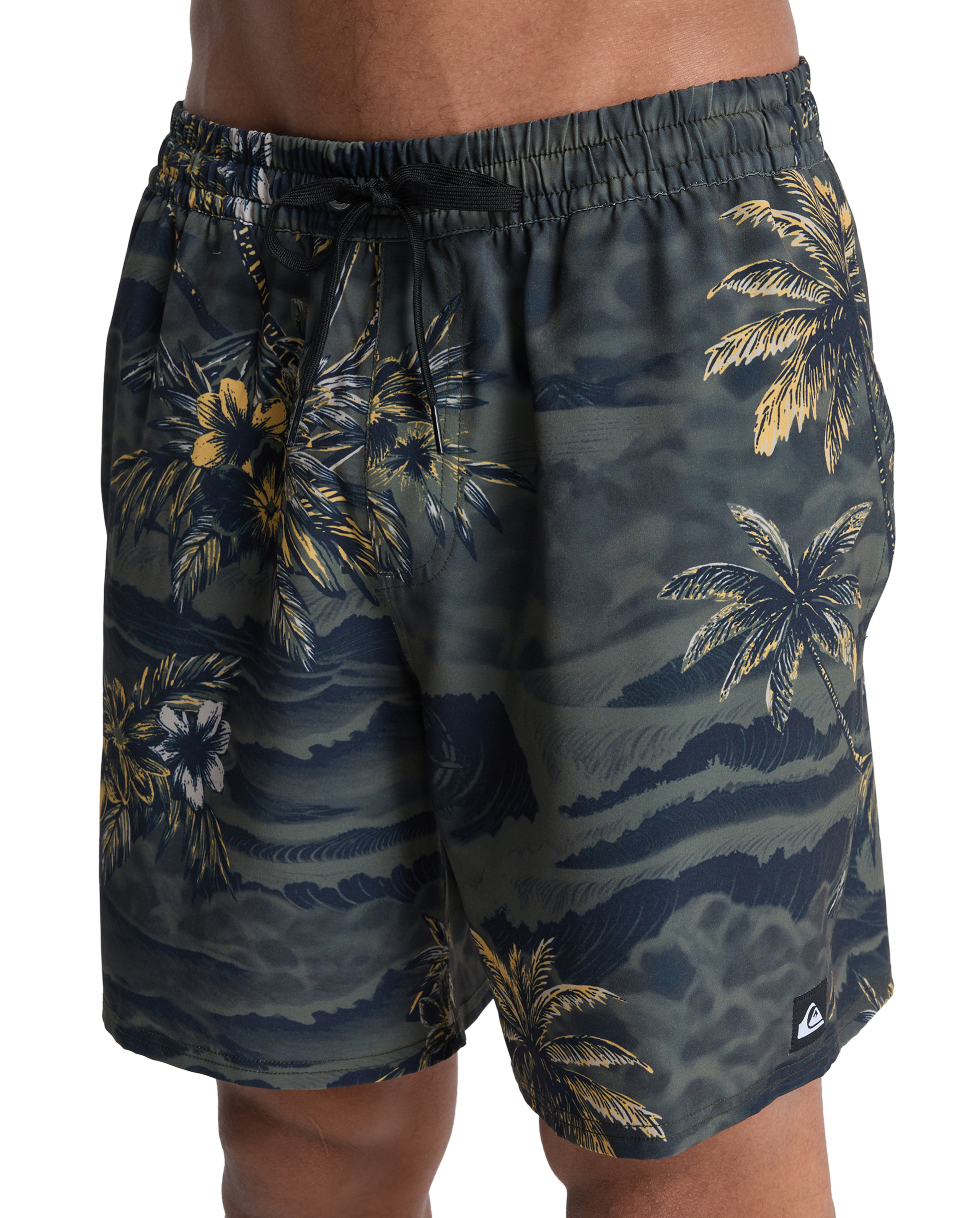 Mens Stretch Printed Volley 17" Swim Shorts - Quiksilver Malaysia