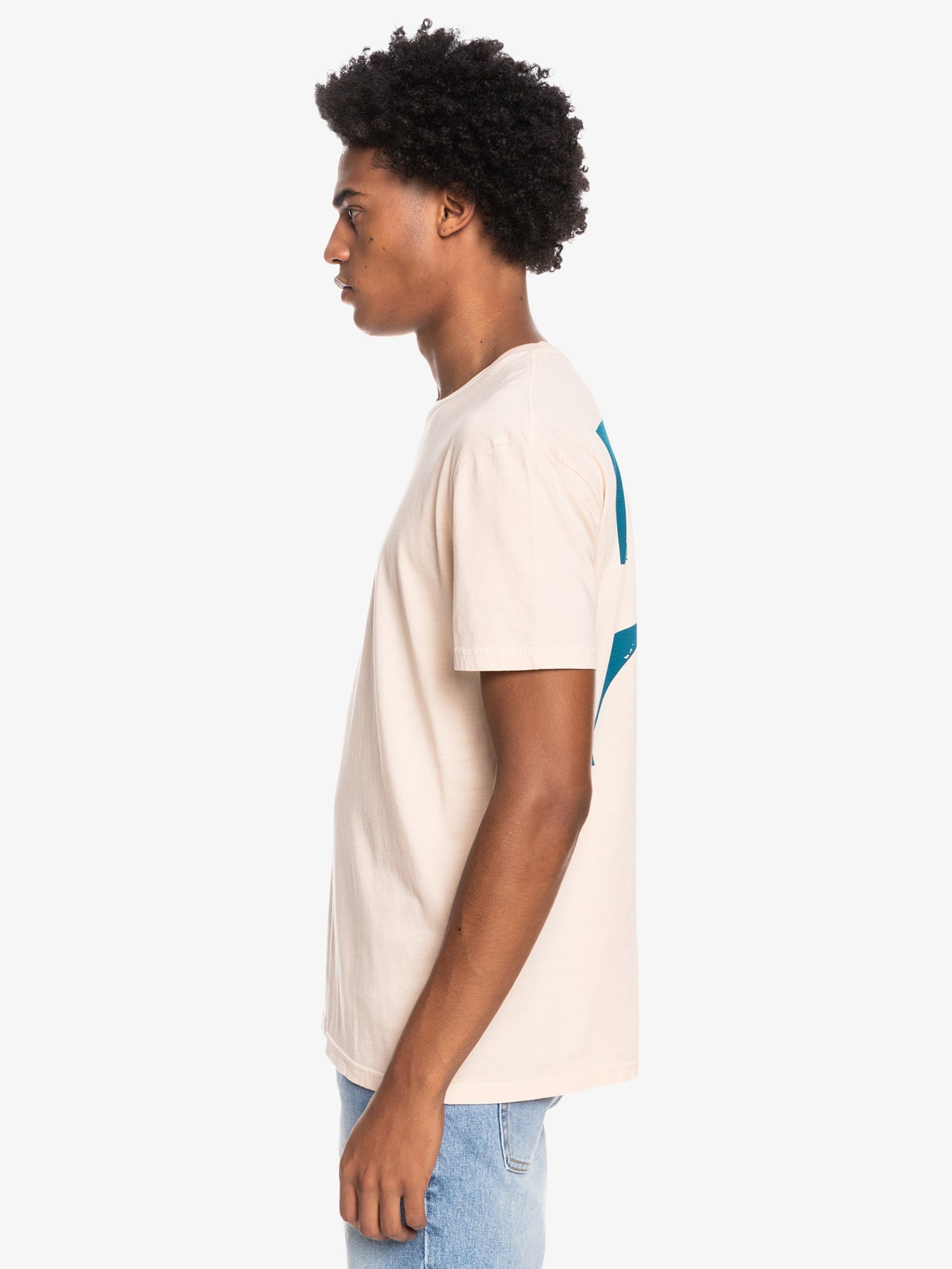 Mens Big Island T-Shirt - Quiksilver Malaysia