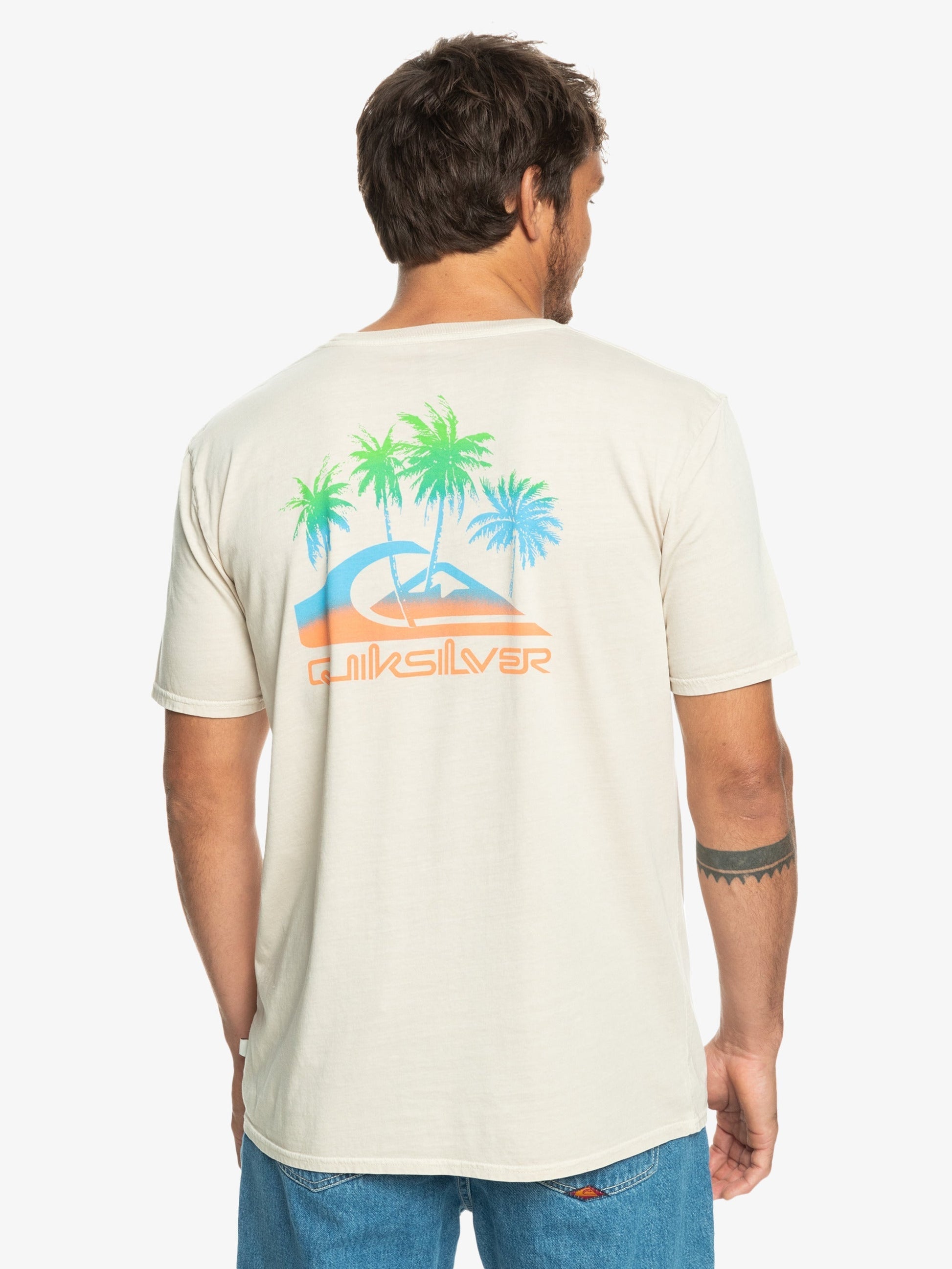 Mens Pastime Paradise T-Shirt - Quiksilver Malaysia