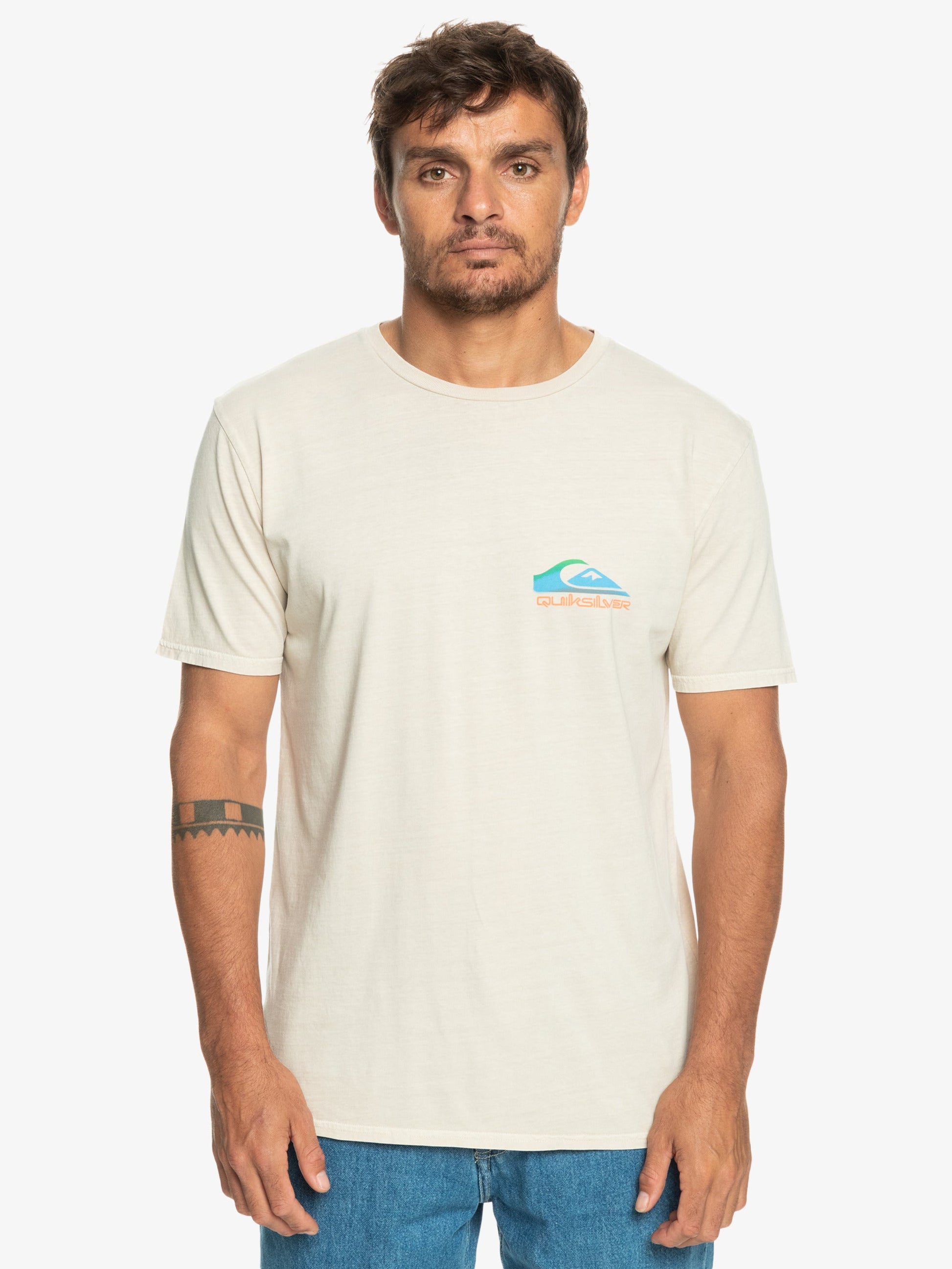 Mens Pastime Paradise T-Shirt - Quiksilver Malaysia