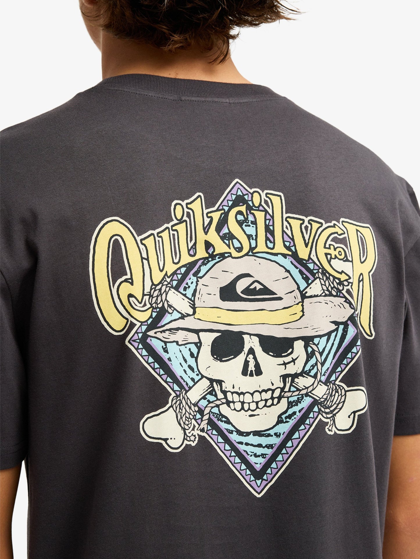 Mens One Piece Pirate Island T-Shirt - Quiksilver Malaysia