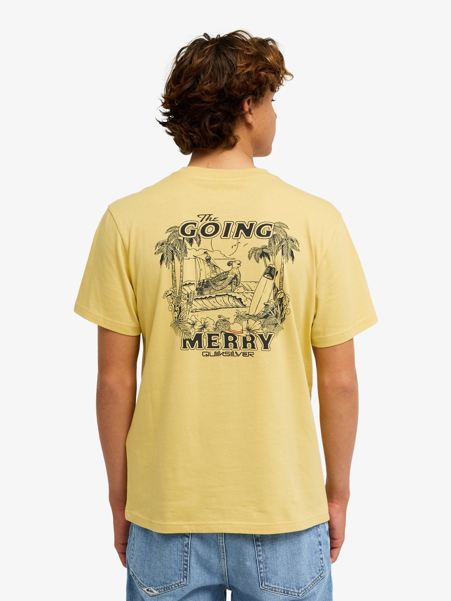 Men One Piece Merry T-Shirt - Quiksilver Malaysia