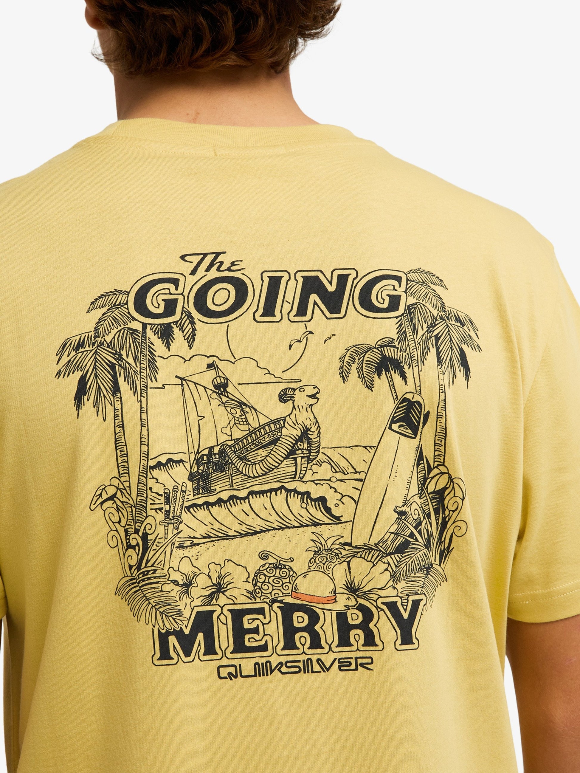 Men One Piece Merry T-Shirt - Quiksilver Malaysia