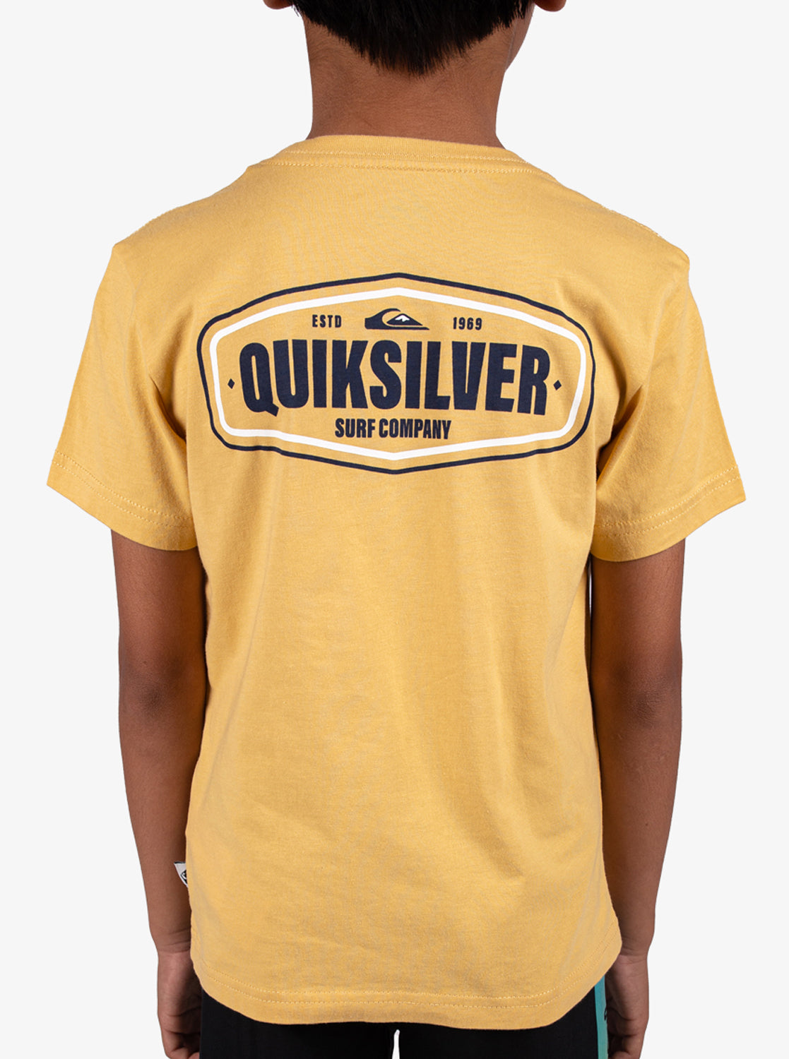 Boys 2-7 Coastal Crest T-Shirt - Quiksilver Malaysia