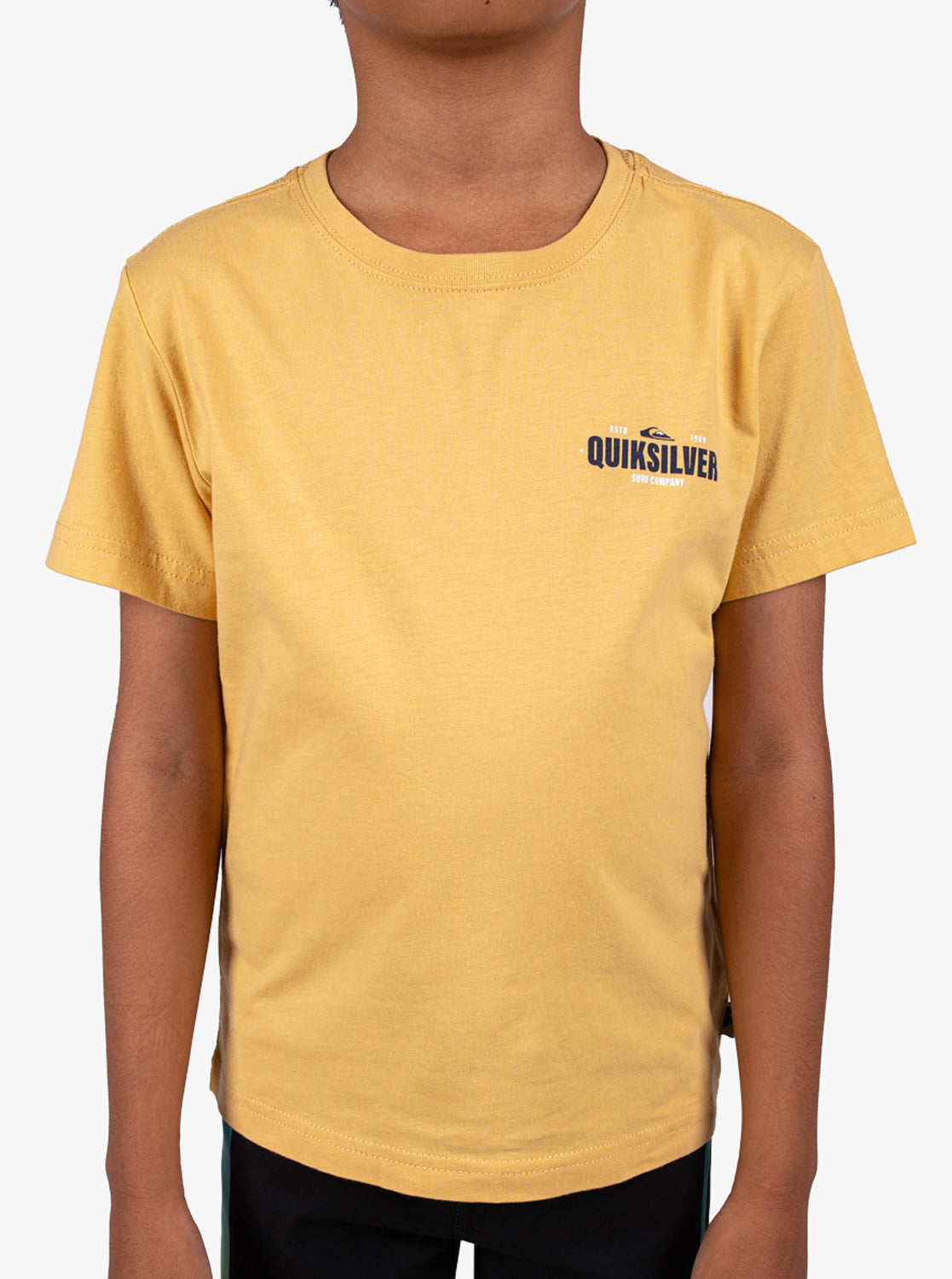 Boys 2-7 Coastal Crest T-Shirt - Quiksilver Malaysia