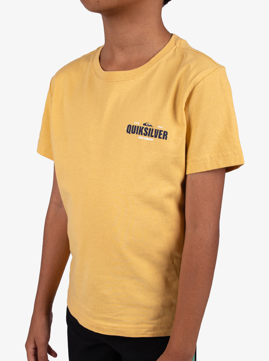 Boys 2-7 Coastal Crest T-Shirt - Quiksilver Malaysia