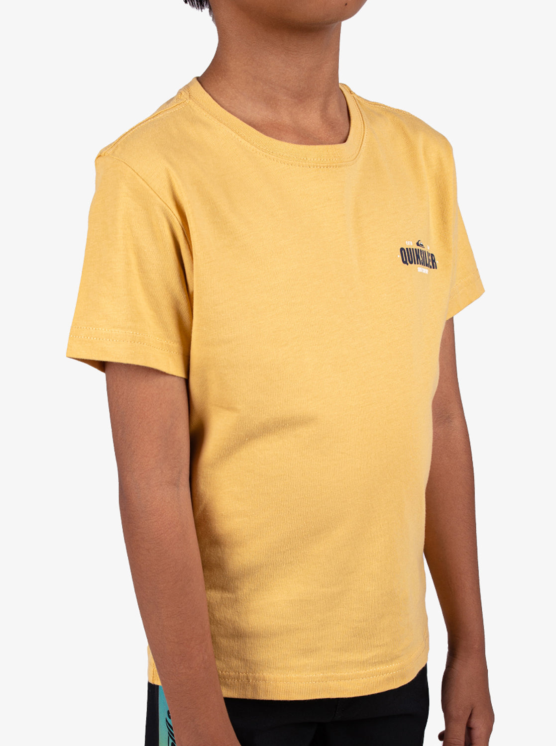 Boys 2-7 Coastal Crest T-Shirt - Quiksilver Malaysia