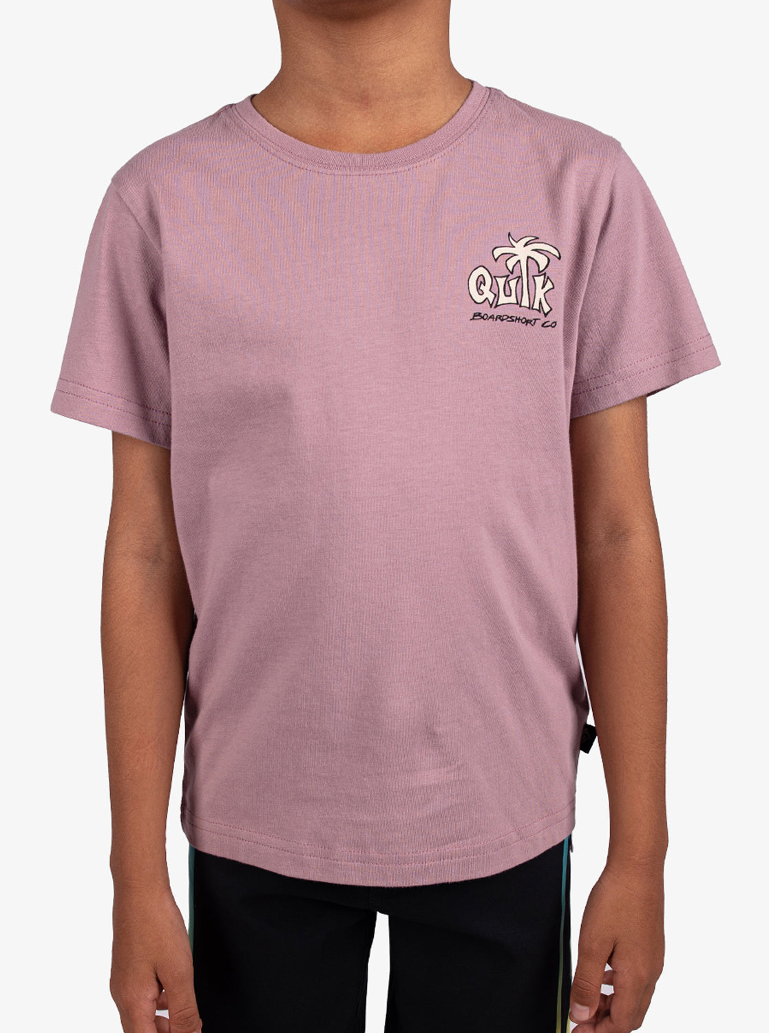 Boys 2-7 Palm Relax T-Shirt - Quiksilver Malaysia