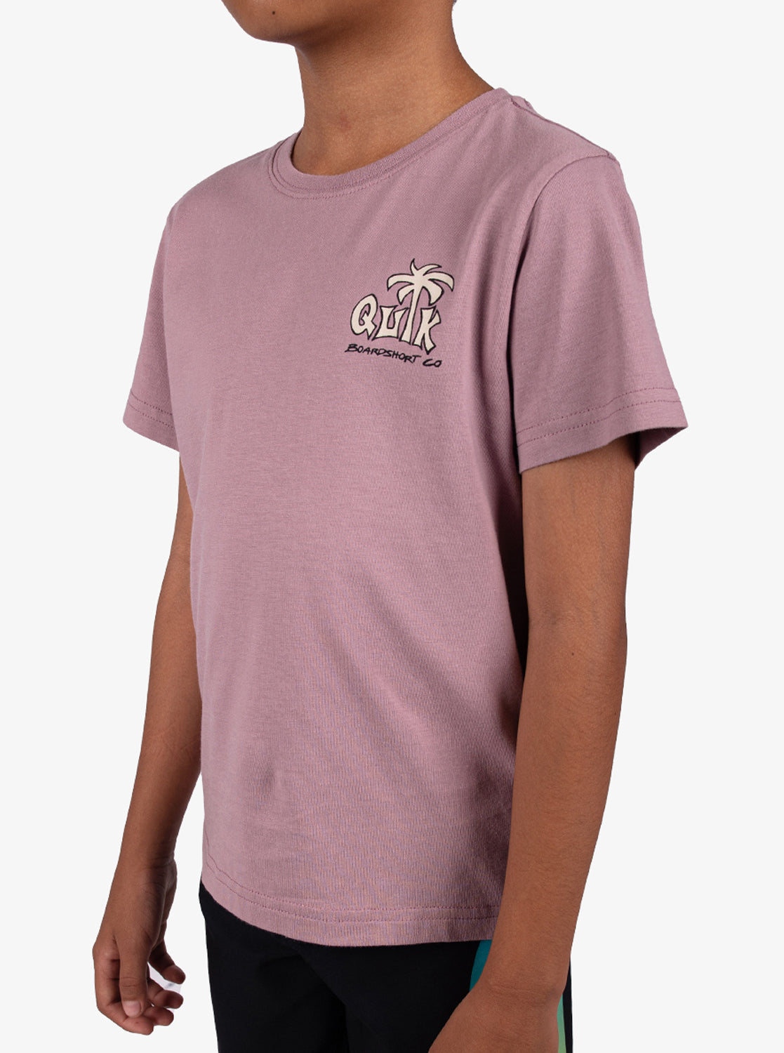 Boys 2-7 Palm Relax T-Shirt - Quiksilver Malaysia