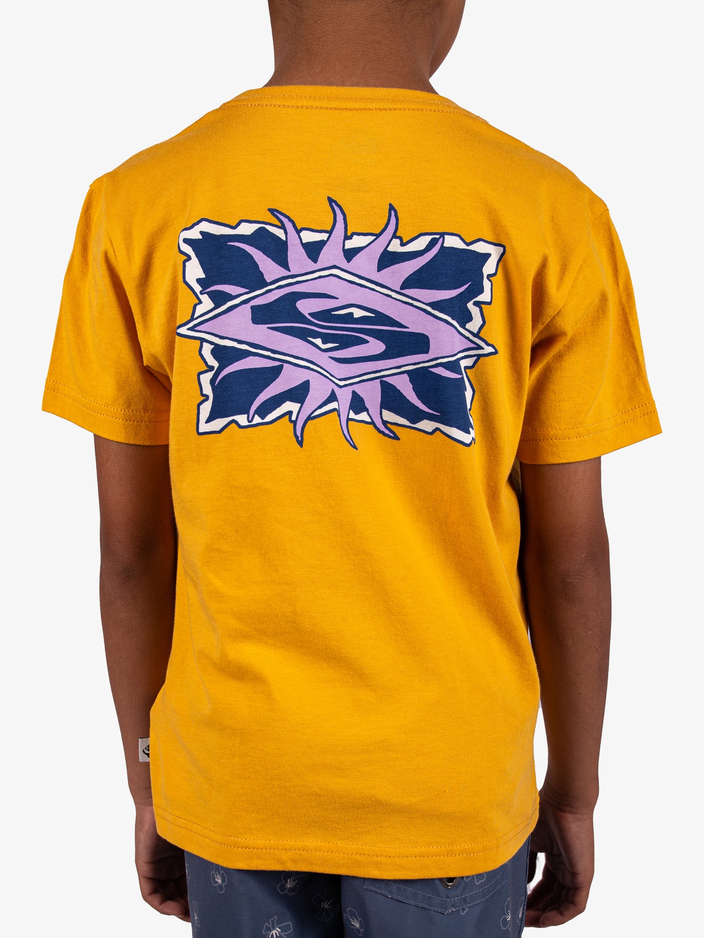 Boys 2-7 Starfish Stamp T-Shirt - Quiksilver Malaysia