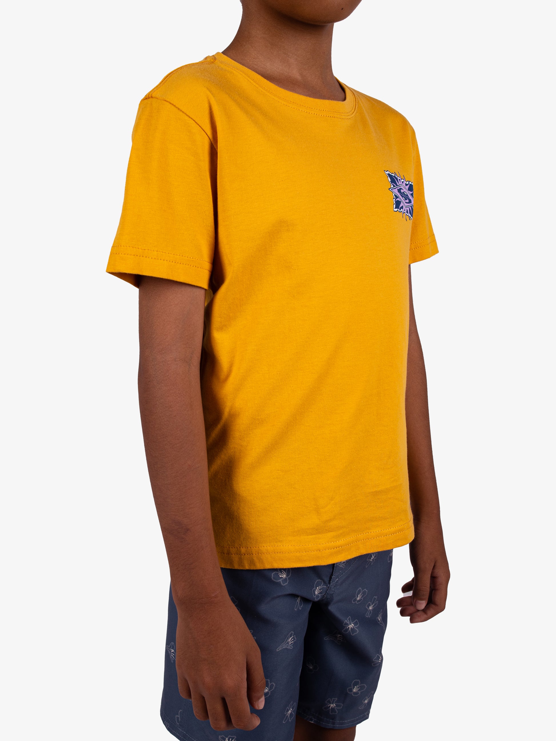 Boys 2-7 Starfish Stamp T-Shirt - Quiksilver Malaysia
