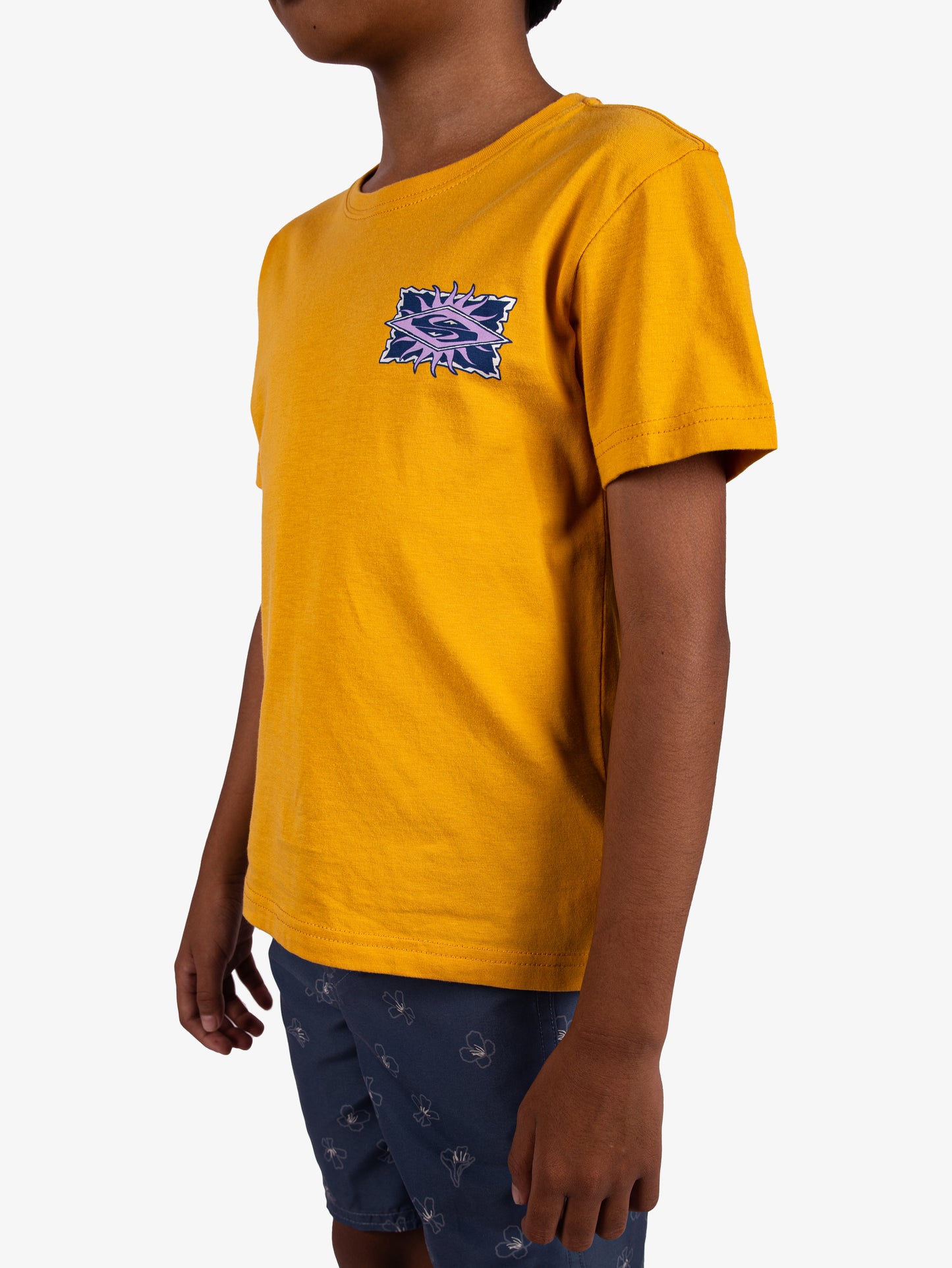 Boys 2-7 Starfish Stamp T-Shirt - Quiksilver Malaysia