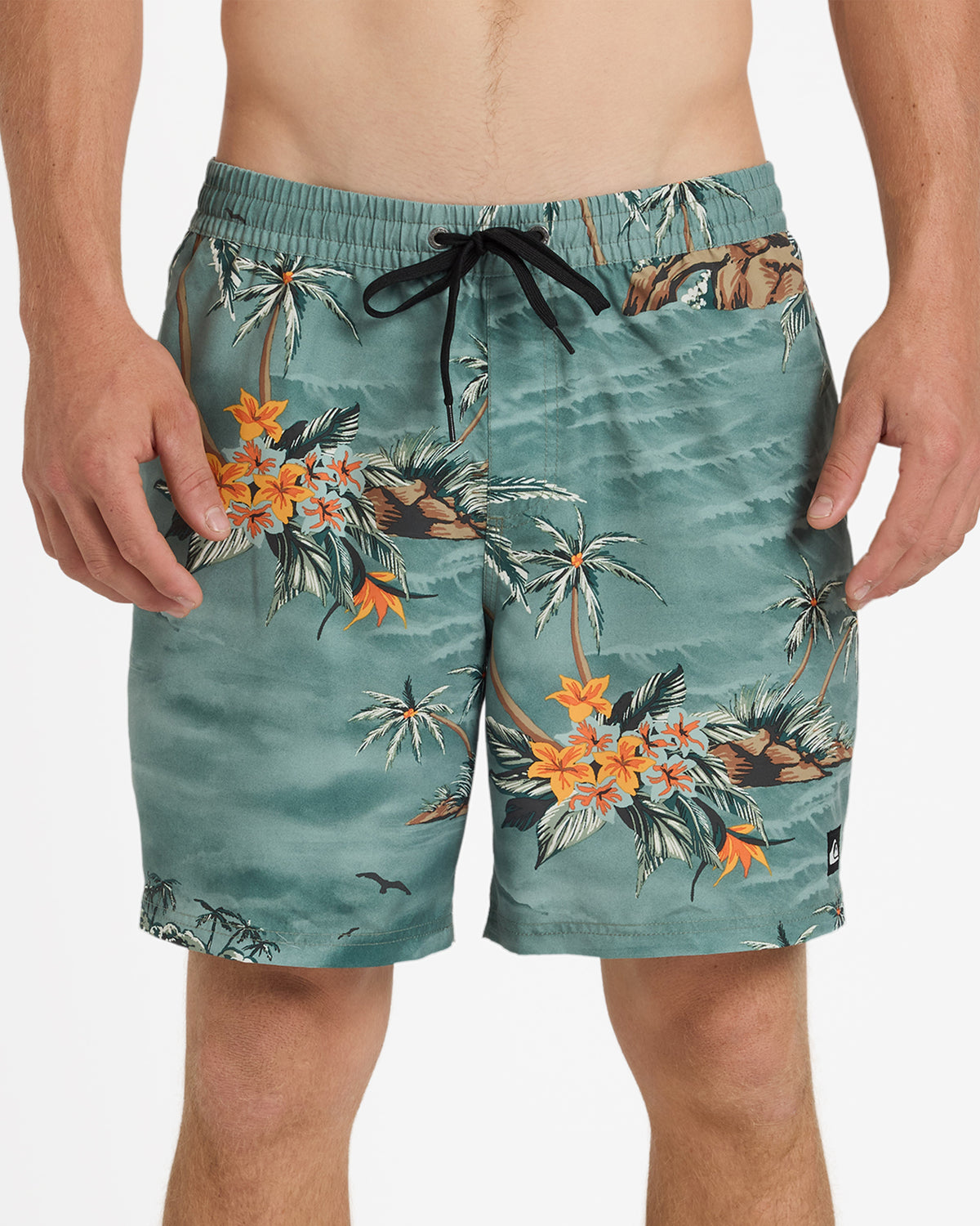Mens Everyday Printed 17 Inch Volley Shorts