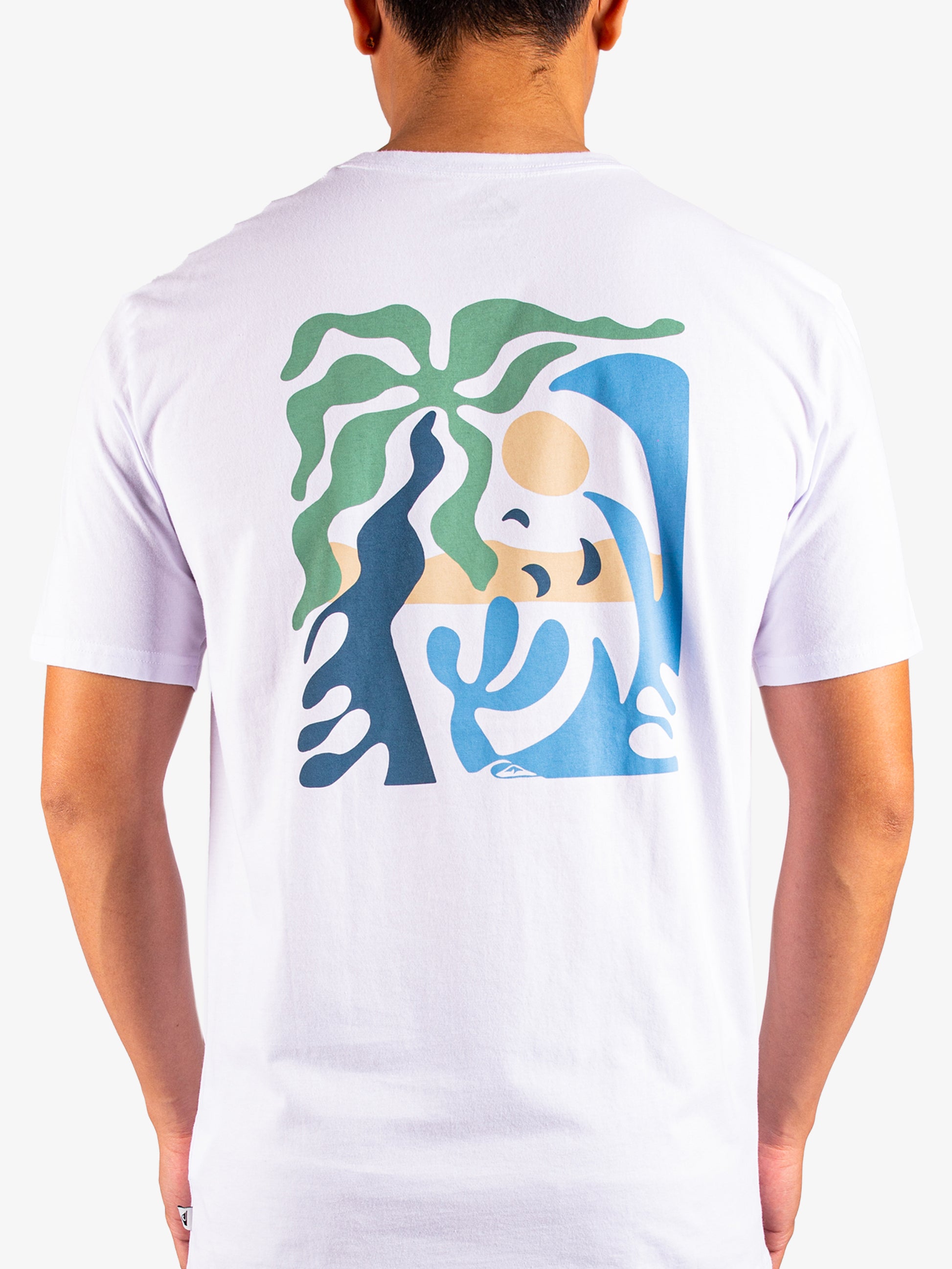 Mens Everyday Paradise T-Shirt - Quiksilver Malaysia