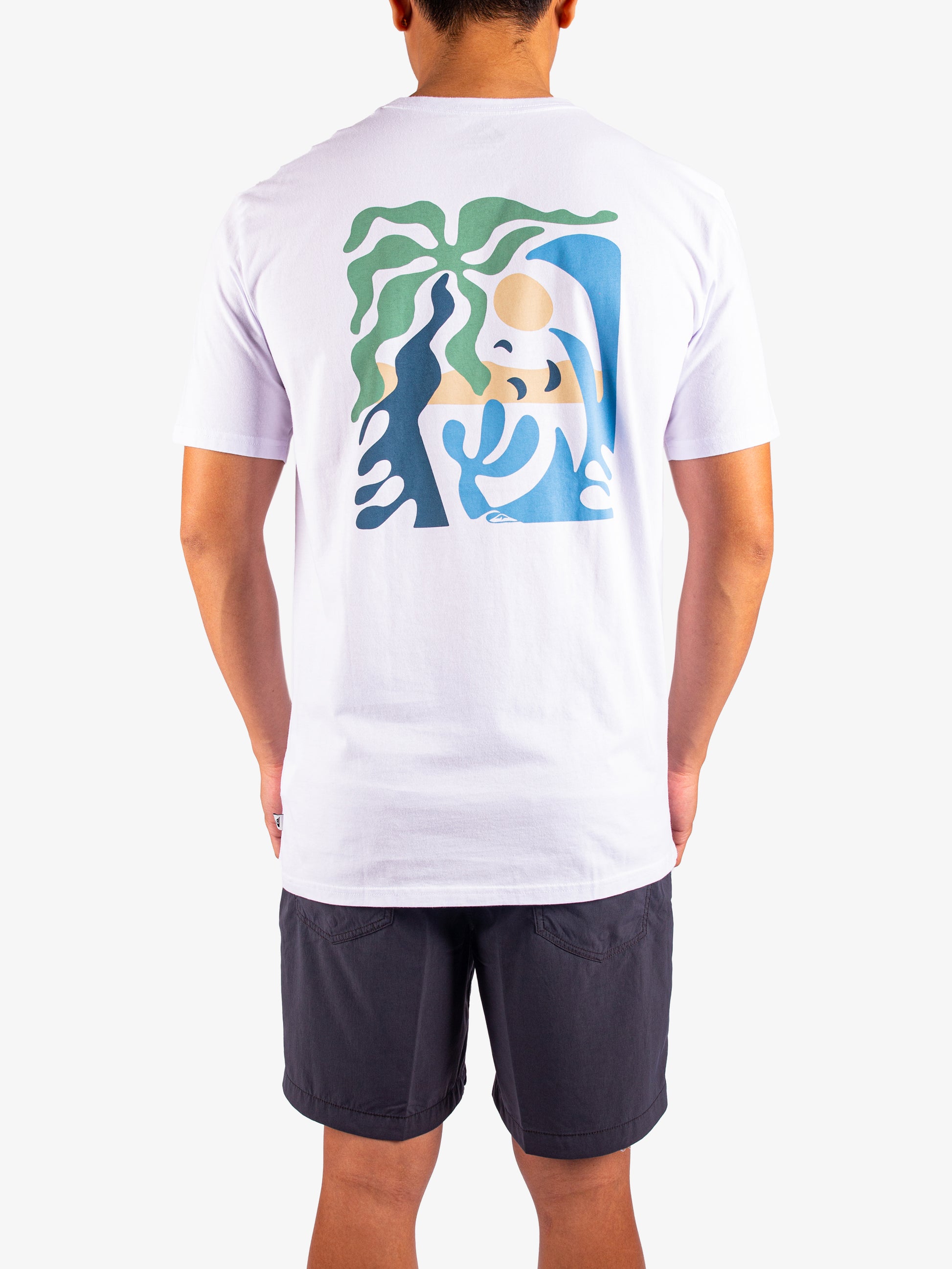 Mens Everyday Paradise T-Shirt - Quiksilver Malaysia
