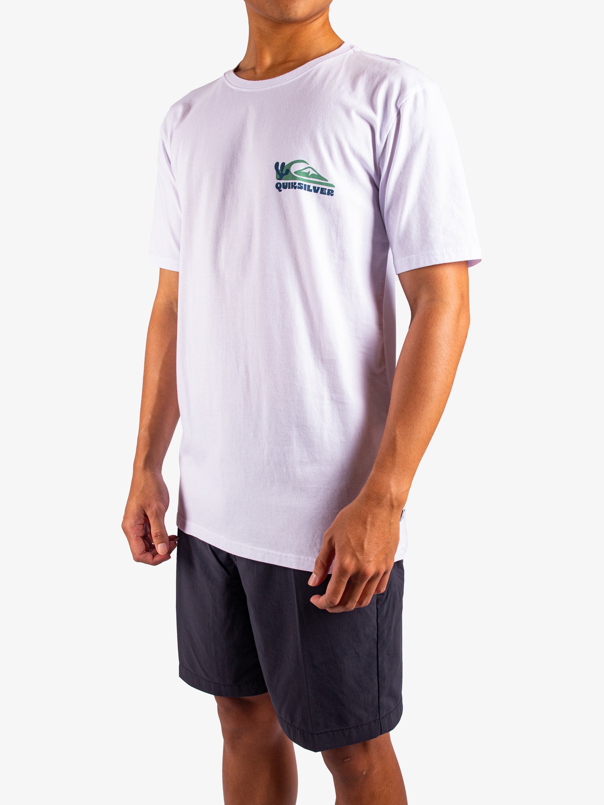 Mens Everyday Paradise T-Shirt - Quiksilver Malaysia