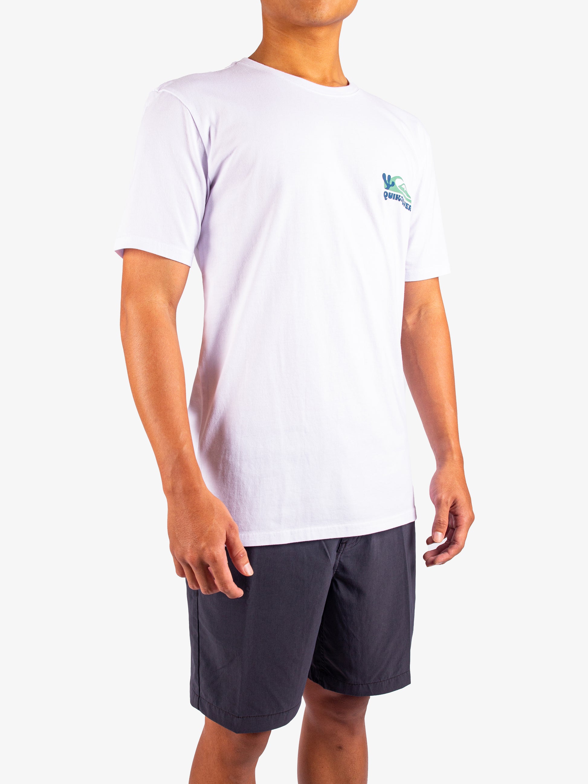 Mens Everyday Paradise T-Shirt - Quiksilver Malaysia
