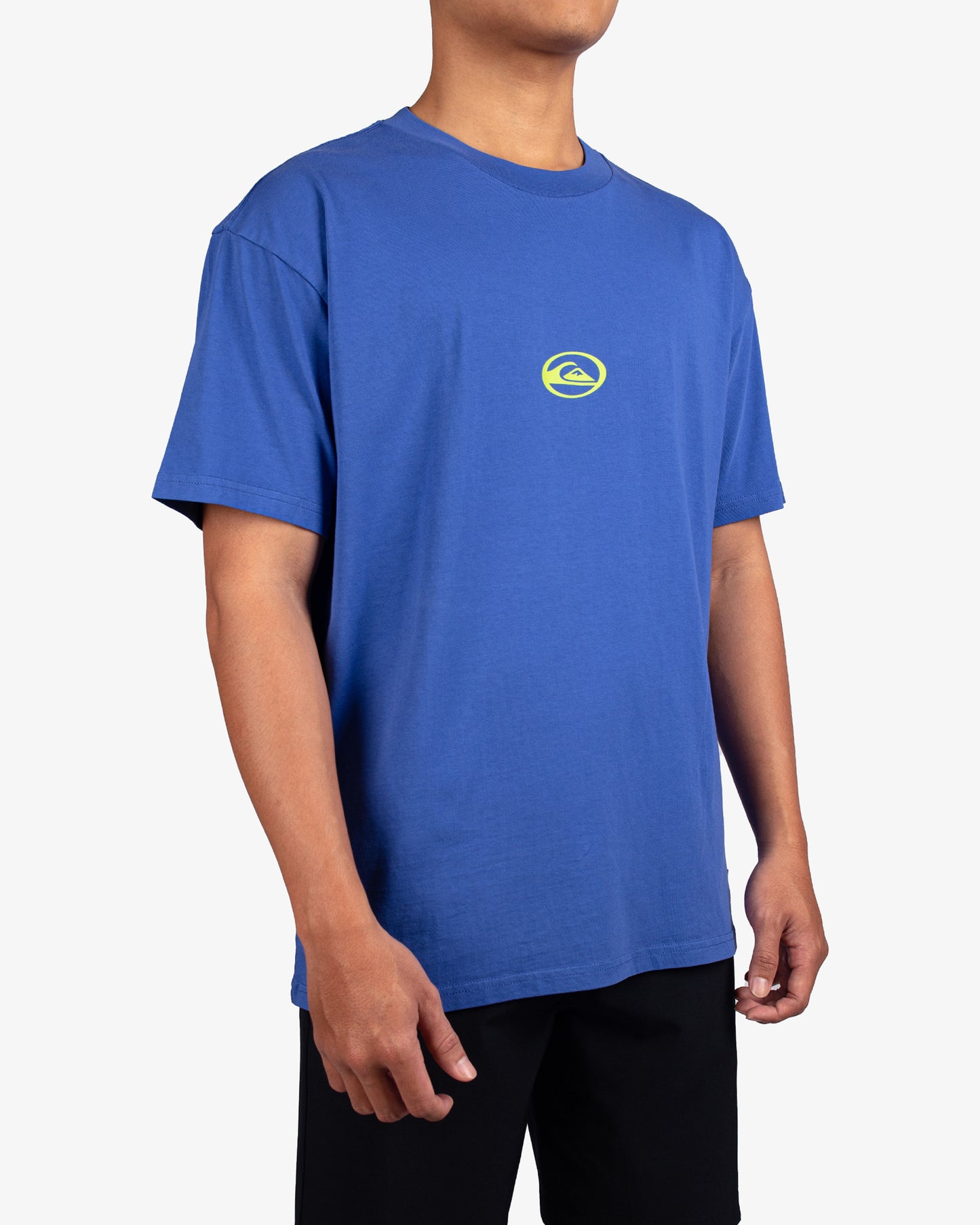 Mens Renegade T-Shirt - Quiksilver Malaysia