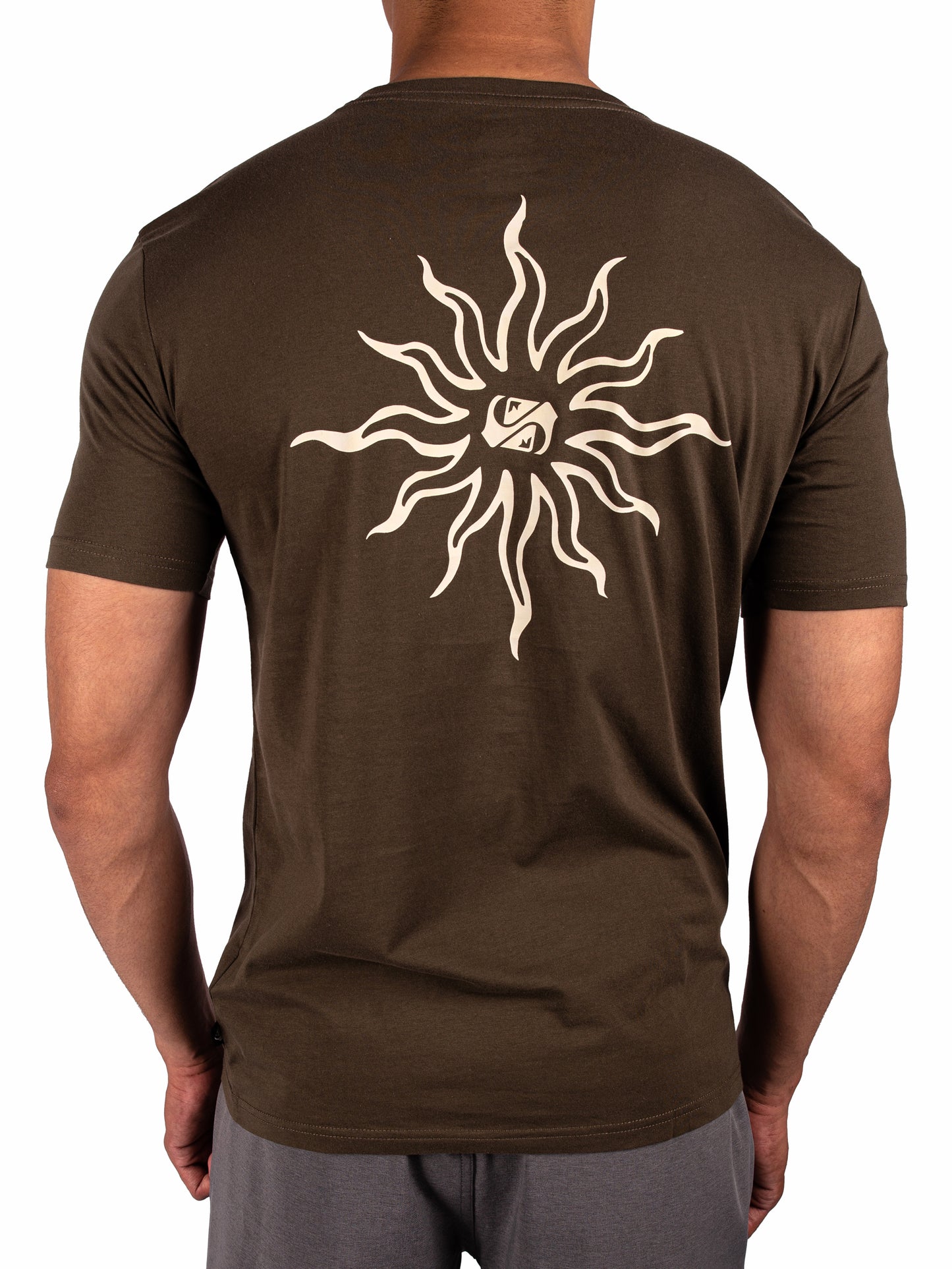 Mens Static Sun T-Shirt - Quiksilver Malaysia